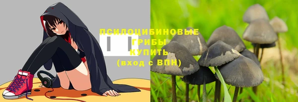 СК Липки