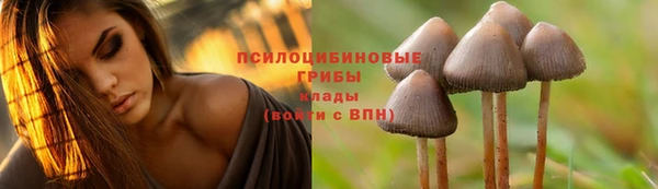 mdpv Лихославль