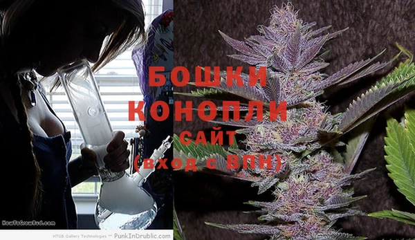 СК Липки